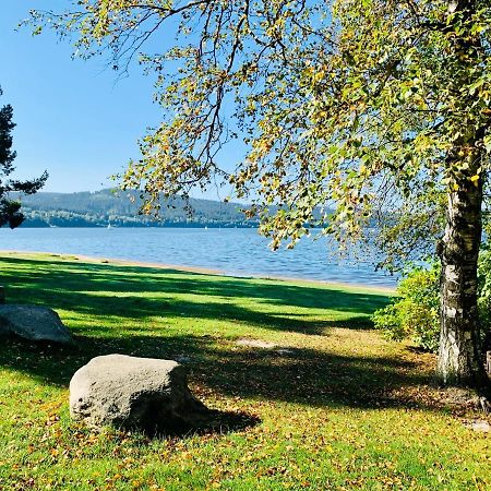 Riviera Lipno 502 Apartman 4Kk U Vody Lipno nad Vltavou Bagian luar foto
